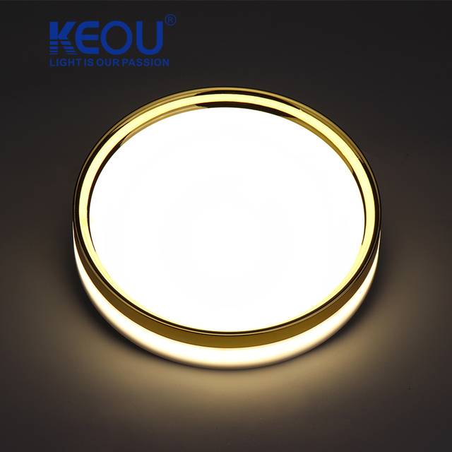 Modern 24W LED Panels Dimmable Flush Mount RGB 3CCT Double Color Aluminum & Plastic Round Ceiling Light for Bedroom Living Room