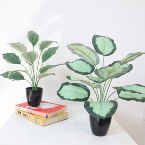 <span class=keywords><strong>Petit</strong></span> <span class=keywords><strong>Bananier</strong></span> Artificiel - Faux <span class=keywords><strong>Bananier</strong></span> du Voyageur avec de Grandes Feuilles pour la Décoration Intérieure - Product Image 2