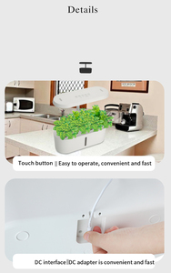Automatic Indoor Small Home Hydroponics Grow Smart Pot Greenhouse Herb Kit Garden Gardening <b>Planter</b> Hydroponic Growing Systems - Product Image 6