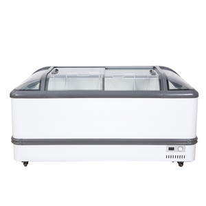 Congélateur Commercial 485L à Multiples Prises pour Marché, Vitrine Réfrigérée en Aluminium à <span class=keywords><strong>2</strong></span> <span class=keywords><strong>Portes</strong></span> pour Fruits de Mer, Viande et Crème Glacée - Product Image 2