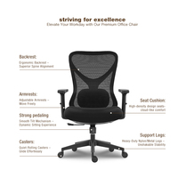 Silla de Oficina Ergonómica Moderna y Ajustable de Malla para Uso en Administraciones, Oficinas en Casa, Escuelas y Hospitales