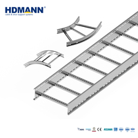 Échelle à câbles en acier électrogalvanisé résistant à la corrosion Hdmann pour la gestion des câbles aériens dans les salles de serveurs des centres de données
