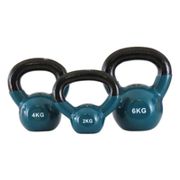 Kettlebell en fonte solide pour les entraînements à domicile et en salle de sport et la musculation