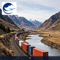 Transitario de Carga Ferroviaria de Zhengzhou a Italia, FCL LCL, Transitario de Carga Ferroviaria China-Europa, Servicio DDP
