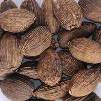 Nouvelle Récolte de Cardamome Noire Chinoise Entière Séchée (AD Cao Guo Amomum Tsaoko) 25Kg – Emballage OEM Disponible, Approvisionnement en Gros