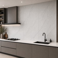 Panneau mural en marbre UV WYRAX 1220x2440mm 3.0mm Gris clair Carrara Haute brillance Étanche pour crédence de cuisine et mur de douche