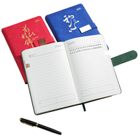 Agenda/Journal A5 en cuir PU avec logo personnalisé 2025, couverture rigide, carnet en papier journalier