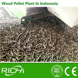 סין Manurefacturing עץ עליז עץ מגרסה עץ גלולה מיל ייעור ציוד - Product Image 6