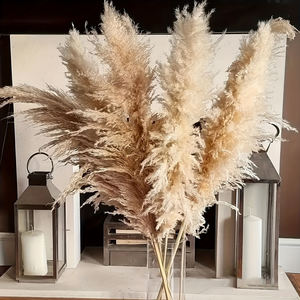 G22 bohémien Ambiance Pompas erba ideale <span class=keywords><strong>per</strong></span> composizioni floreali <span class=keywords><strong>vasi</strong></span> da pavimento alti steli di erba pampa in Beige naturale - Product Image 2