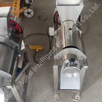 Machine à jus de fruits 2025, machine à pulper les fruits de tamarin, cerise, mangue, goyave, presse-agrumes, broyeur, usine de transformation de jus de fruits