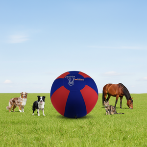 Couverture <span class=keywords><strong>de</strong></span> balle <span class=keywords><strong>de</strong></span> dressage renforcée et améliorée pour chiens et chevaux, 18'', 25'', 30'', pour <span class=keywords><strong>l</strong></span>'entraînement en extérieur, avec bande réfléchissante - Product Image 1