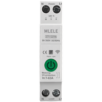 2024 Nouveau Design Smart 4G 2 Pôles 63A MCB Disjoncteur Télécommande Miniature Disjoncteurs pour Smart House Utilisation LI