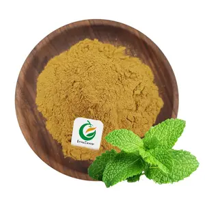 Fruiterco Natural Spearmint Powder Peppermint Powder Peppermint Extract