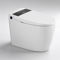 Toilette intelligente à double chasse haute performance, bidet intelligent conforme à la certification CE, personnalisation ODM et OEM pour projets mondiaux
