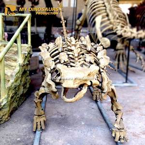 Mi Dino de fibra de vidrio dinosaurio <span class=keywords><strong>anquilosaurio</strong></span> modelo de <span class=keywords><strong>esqueleto</strong></span> - Product Image 1