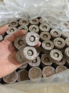 Pastilles de coco biodégradables pour semis, disques de coco extensibles pour jeunes pousses et pépinières en serre - Product Image 5