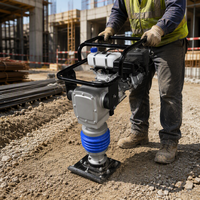Compacteur à essence OEM personnalisable de 80 kg, certifié CE, pour le compactage du sol