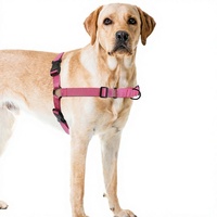 Harnais et laisse pour chien en nylon solide, réglable, respirant, réfléchissant, avec clip frontal, gilet de poitrine anti-évasion et résistant aux bris pour la promenade