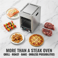 Four à steak électrique commercial, 800 ° Gril à haute température C, 1700W, en acier inoxydable, pour restaurant, traiteur et usage domestique