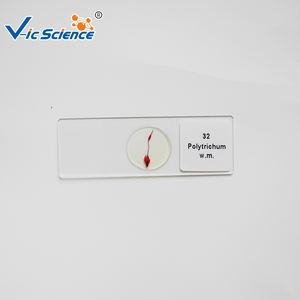 مجموعة موارد التدريس النباتية من الشرائح الزجاجية المعدة لاستخدام الفصول الدراسية في المدارس الإعدادية - Product Image 2