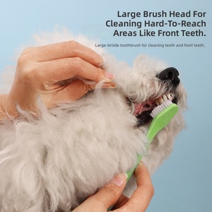 Brosse à dents personnalisable multicolore antibactérienne et écologique pour chiens, chats et petits animaux, double tête, design en plastique - Product Image 2