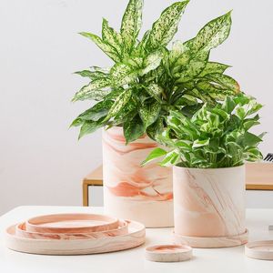 Vente en gros de plantes vertes succulentes pour <span class=keywords><strong>jardin</strong></span>, <span class=keywords><strong>vase</strong></span> frais pour la décoration de la maison, pots de fleurs nordiques émaillés colorés en céramique - Product Image 4