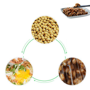 3g/Sacchetto Bacillus Subtilis Natto Nattokinase per Fermentazione Fai-da-te di Natto, Polvere di Spore Enzimatiche per Avvio Fermentazione - Product Image 3