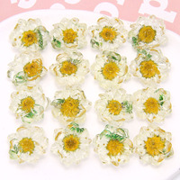 Summer Small Fresh Dried Flowers Small Daisies Resin Accessories Diy Earrings Headdress Female Phone case Materials Wholesale
