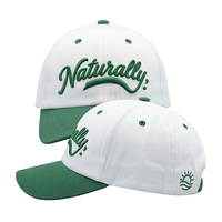 Gorra de Béisbol Bordada de Dos Tonos con Visera Curva Ajustable, Estilo Urbano, con Contraste de Color, para Hombre y Mujer