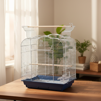 Cage à oiseaux en métal, design simple et robuste, écologique, revêtement poudré, facile à assembler, avec plateau en plastique – Vente en gros usine