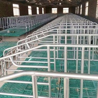 BMC Kunststoff-Spaltenböden für Schweine - Verschleißfest, Wasserdicht, Rutschfest für den Innenbereich in Nutztierhaltung und Schweinefarmen