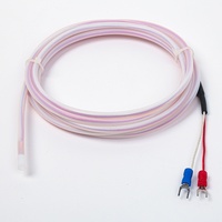 Sonde de température étanche et résistante à la corrosion avec thermocouple PT100 de type K anti-corrosion