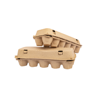 Vente en gros biodégradable Plateau à oeufs de caille en papier Carton Canne à sucre Bagasse Boîte à oeufs de caille Boîtes 12 trous pour oeufs de caille