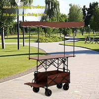 Chariot pliable en fer avec pare-soleil amovible, structure portable épaissie et allongée, pour marché, plage, loisirs et camping