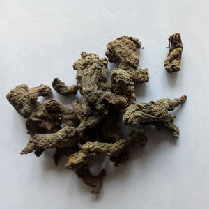 Zi Bei Tian Kui Medicina Herbal Chinesa Selvagem Bulbo de Begonia Fimbristipula Seco Raiz de Begonia Fimbristipula - Product Image 4