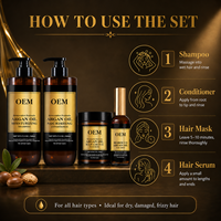 Kit de Cuidado Capilar con Aceite de Argán al por Mayor, Champú de 500 ml, Acondicionador de 250 ml, Mascarilla Capilar de 100 ml, Suero para Marcas de Belleza, Suministro OEM de Fábrica