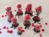 Roses éternelles sous cloche en verre, cadeaux de la Saint-Valentin, rose naturelle fraîche préservée de luxe dans un coffret cadeau en verre