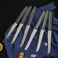 Ensemble de 6 couteaux à steak dentelés avec manche en PP couleur personnalisable, lame en acier inoxydable, boîte de couleur classique, ustensiles de cuisine