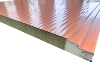 Panneaux muraux insonorisés en polyuréthane isolant, ignifuges, imperméables et écologiques, au design moderne, pour chambres froides extérieures