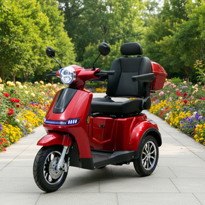 Scooter Eléctrico de 3 Ruedas de Alta Resistencia 2026 para Almacén en la UE, 25 KM/H, 1000W, Autonomía de 60-80 KM, Suspensión Completa, <span class=keywords><strong>Control</strong></span> por App - Product Image 3