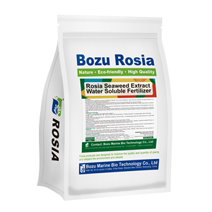 Poudre d'extrait d'algues enrichie en acide humique biostimulant d'algues organiques solubles dans l'eau pour la croissance des plantes Agriculture <span class=keywords><strong>Engrais</strong></span> du sol - Product Image 2