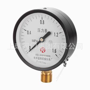 Manomètre Hangzhou Fuyang Hongsheng Y100 1,6 MPa en acier pour réservoir d'air radial et mesure de pression d'eau - Product Image 5