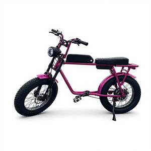Moteur de moyeu arrière 48V 20"x4.0" avec cadre en aluminium et batterie au lithium pour cruiser, idéal pour la neige et le sable, 48V 1 - Product Image 2