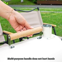 Barbecue à gaz en acier pour intérieur/extérieur avec friteuse intégrée, sécurité flamme, chauffage sans fumée - Usage domestique
