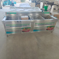 Commerciële multifunctionele groente- en fruitreinigingsmachine, voedselwasser, 220V motor, SUS304 roestvrij staal, energiezuinig