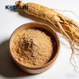 Kodilin Integratore Alimentare Grado Alimentare 10g 8.962g/100g Saponina in Polvere per Rafforzare l'Immunità e Anti-Fatica, Radici Avventizie di <span class=keywords><strong>Ginseng</strong></span> - Product Image 1