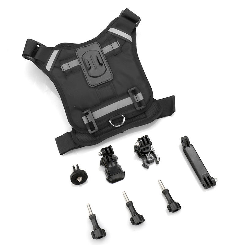 New dog leash (including accessories)