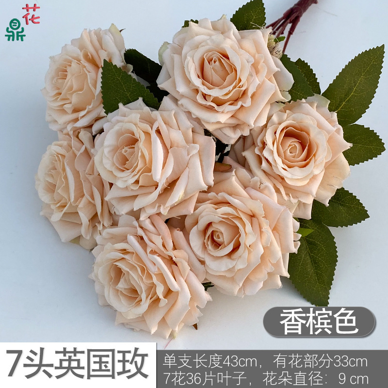 7 Champagne DG Rose britannique