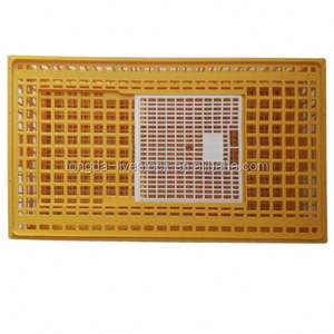Cage de Transport robuste pour <span class=keywords><strong>animaux</strong></span> de grande taille, Cage de volaille pour poulet adulte, boîte de Transport - Product Image 2