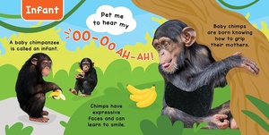 Libro Sensoriale Tattile e Sonoro per Bambini con Animali della <span class=keywords><strong>Fattoria</strong></span> e Suoni di Animale Domestico - Libri Sonori Premium - Product Image 6